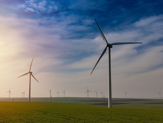 Investimento-sustentavel-investir-no-ambiente-investir-no-futuro.jpg